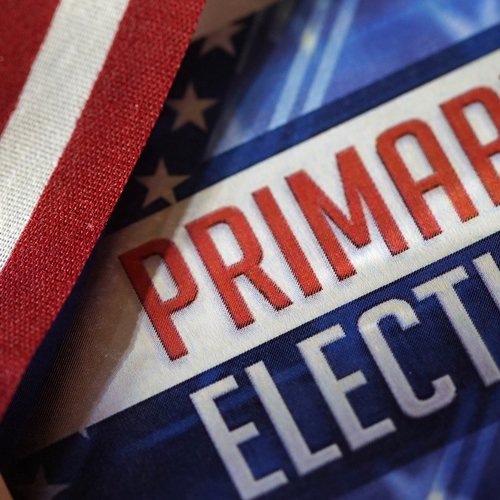 Primary Elections image