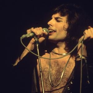Freddie Mercury image