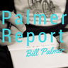 Palmer Report image