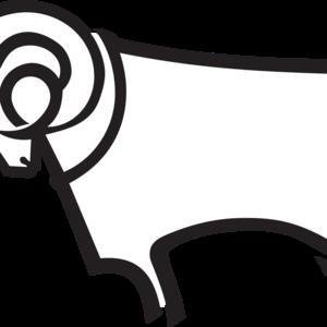 Derby County image