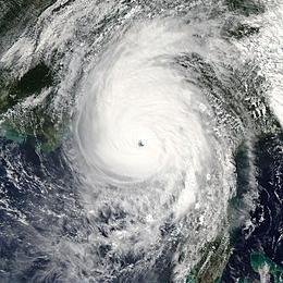 Hurricane Michael image