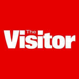 The Visitor image