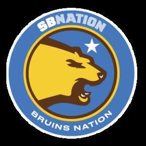 Bruins Nation image