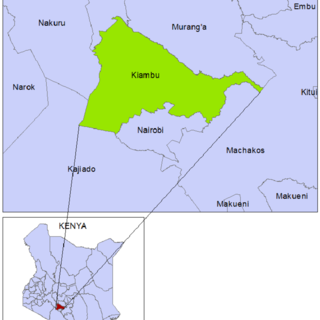 Kiambu County image