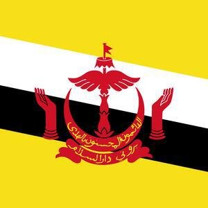 Brunei image
