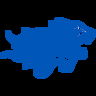 Widener University Athletics image