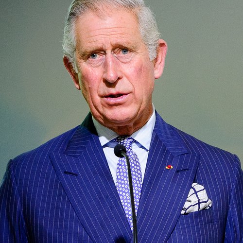 King Charles image