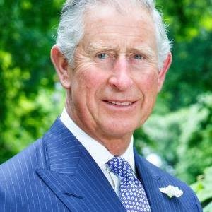 Prince of Wales image