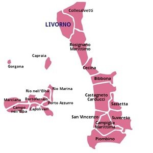 Provincia Di Livorno image