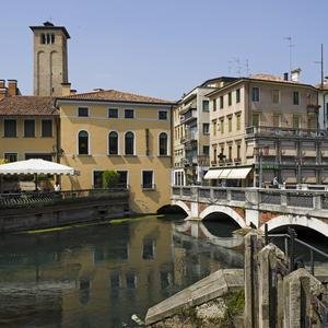 Treviso image