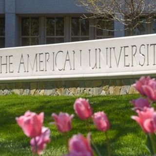 American University image