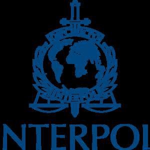 Interpol image