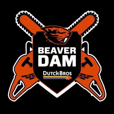 Beaver Dam image