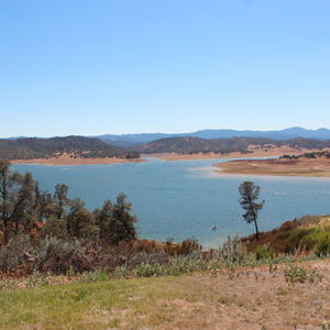 Lake Nacimiento image