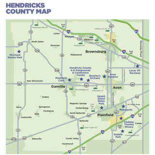Hendricks County image