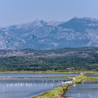 Ramsar image