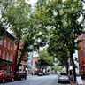 Downtown Frederick Partnership image