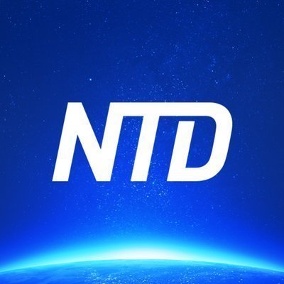 NTD News image