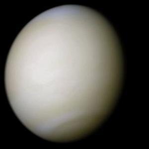 Venus, Florida image