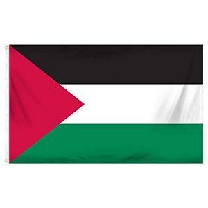 Palestine image