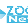 Zoom News image