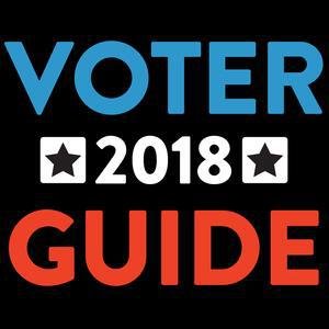 Voter Guide image