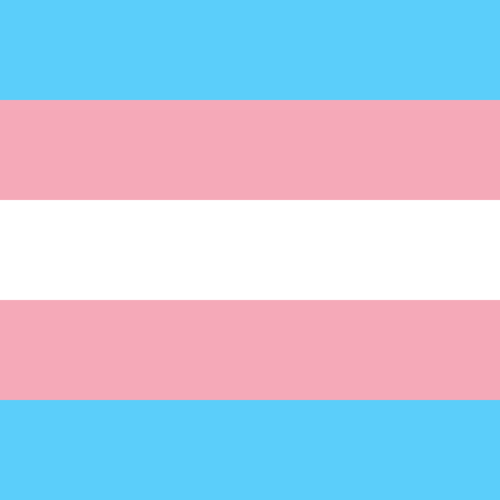 Transgender image