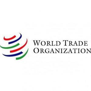 WTO image
