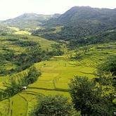 Nagaland image