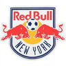 New York Red Bulls image