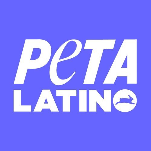 PETA Latino Breaking News Headlines Today | Ground News