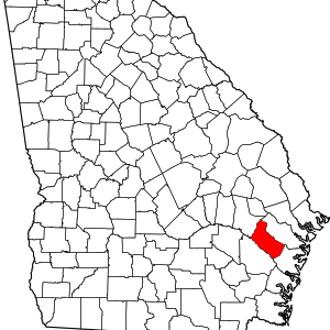 Long County image