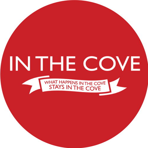 In the Cove Breaking News Headlines Today Ground News