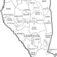 Sampson County image