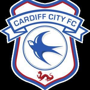 Cardiff City image