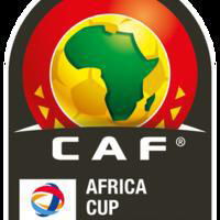 Africa Cup of Nations image