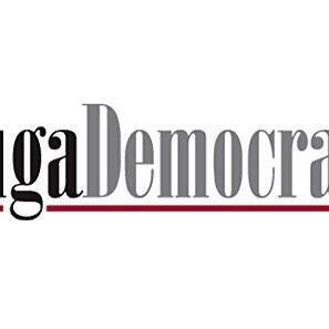 Watauga Democrat image