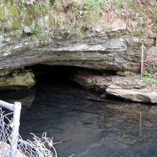 Cave Springs image