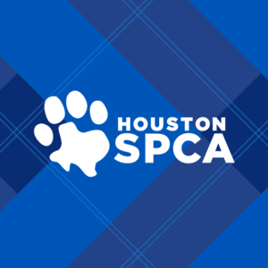 Houston SPCA image