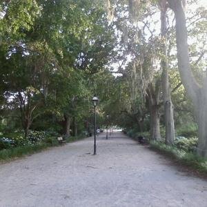 Hampton Park image