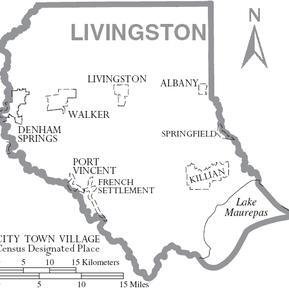 Livingston Parish image