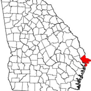 Chatham County, Georgia image
