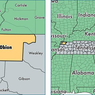 Obion County image