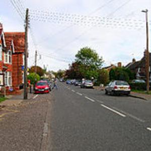 Partridge Green image