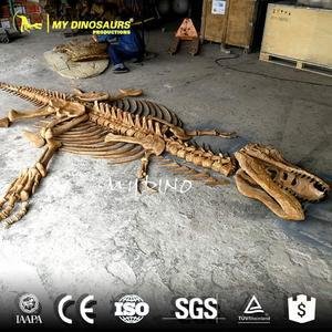 Dinosaur Bones image