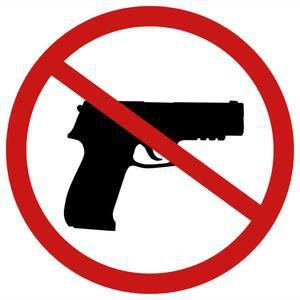 Gun Laws image