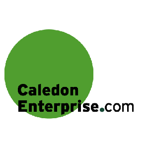 Caledon Enterprise  image