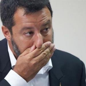 Salvini image