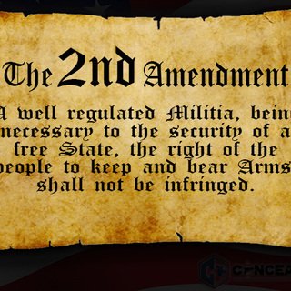 2nd Amendment image