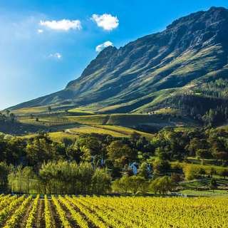 Cape Winelands image
